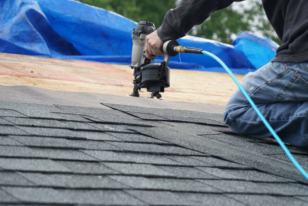 Best Storm Damage Roof Repair  in Mccla, AL